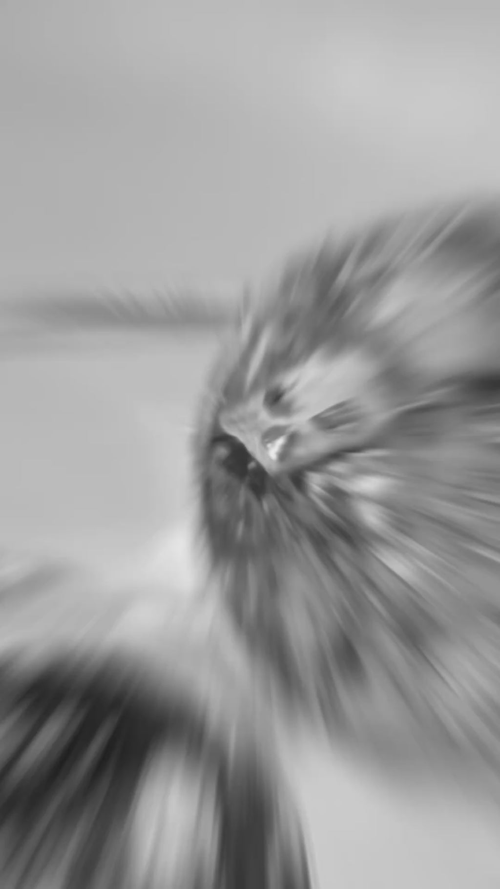 Custom Real Flower Resin Bracelet – Personalized Floral Jewelry Gift